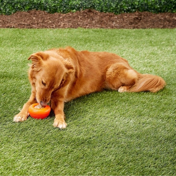 Everlasting Treat Bento Ball Chew Toy - Picture 3 of 16